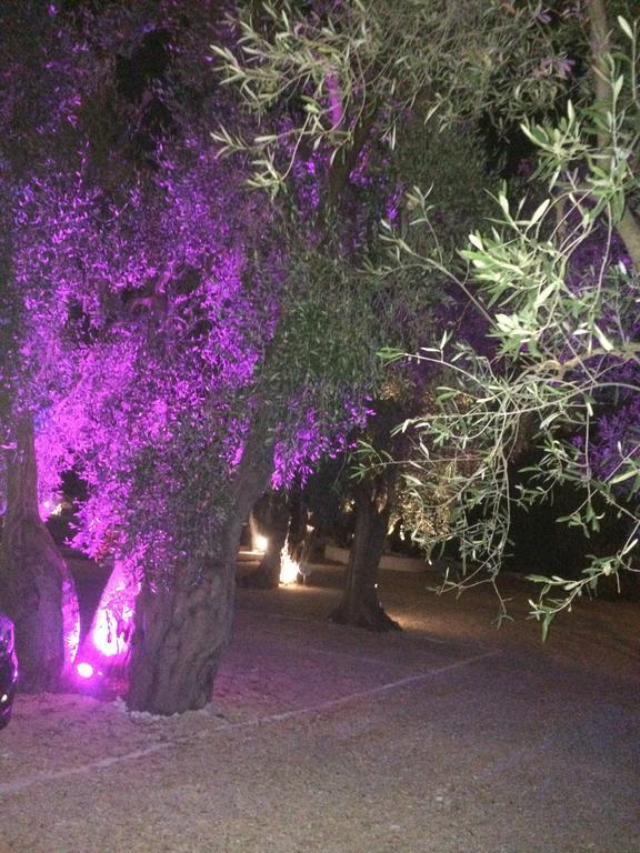 Apollo Holiday home Mattinata